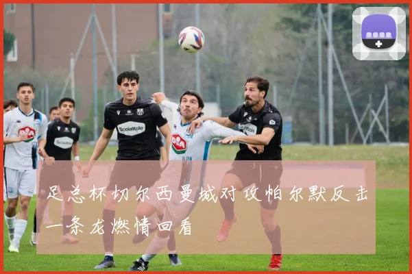 足总杯切尔西曼城对攻帕尔默反击一条龙燃情回看