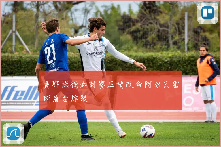 费耶诺德加时赛压哨改命阿尔瓦雷斯看台炸裂