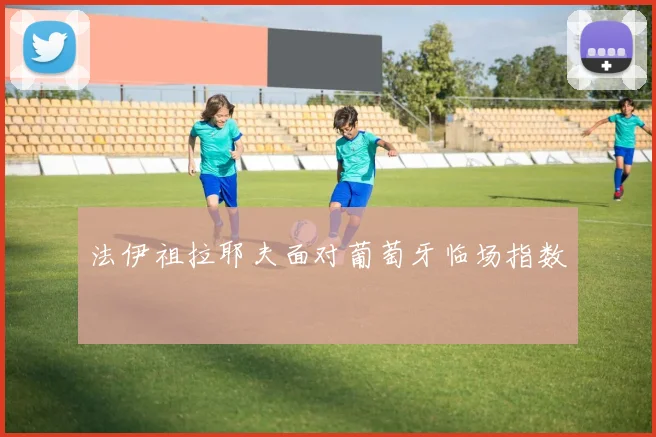 法伊祖拉耶夫面对葡萄牙临场指数