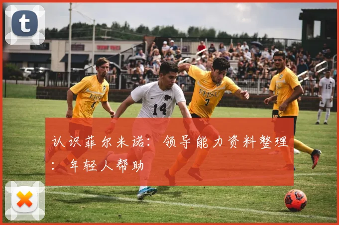 认识菲尔米诺：领导能力资料整理：年轻人帮助