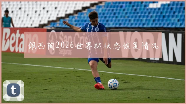 佩西陶2026世界杯状态恢复情况