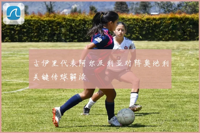 古伊里代表阿尔及利亚对阵奥地利关键传球解读