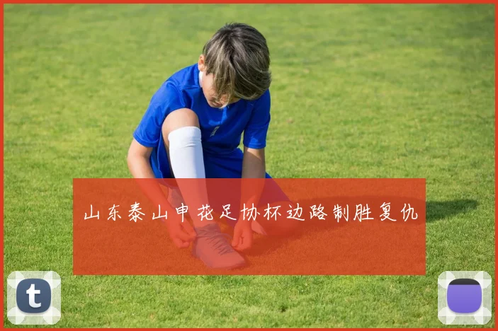 山东泰山申花足协杯边路制胜复仇