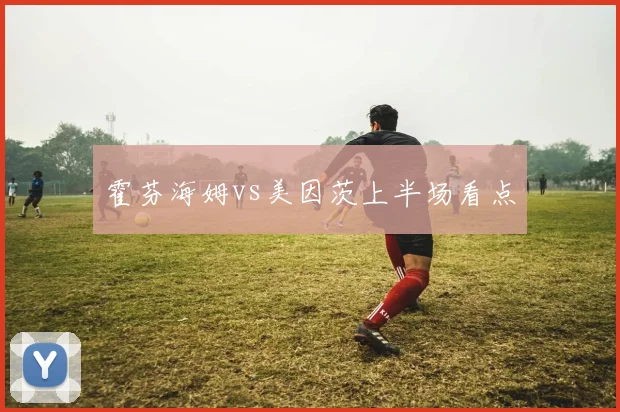 霍芬海姆vs美因茨上半场看点