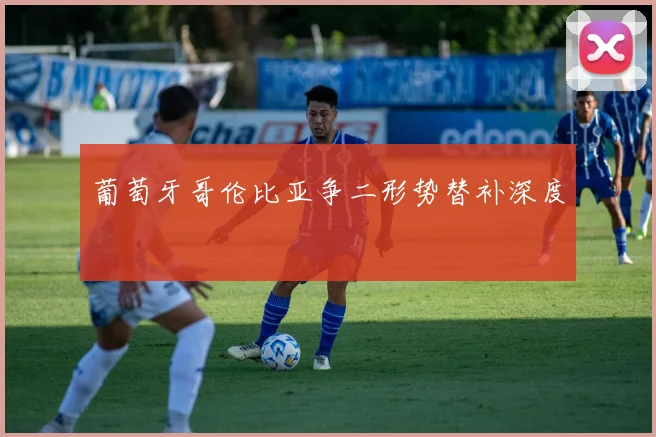 葡萄牙哥伦比亚争二形势替补深度