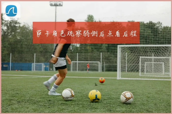 萨卡角色观察弱侧后点看后程